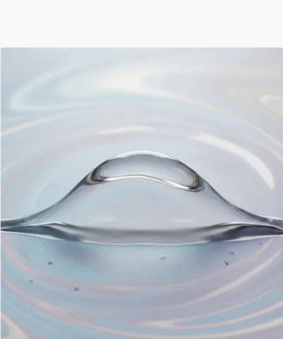 Ginopol L24 — representative product image
